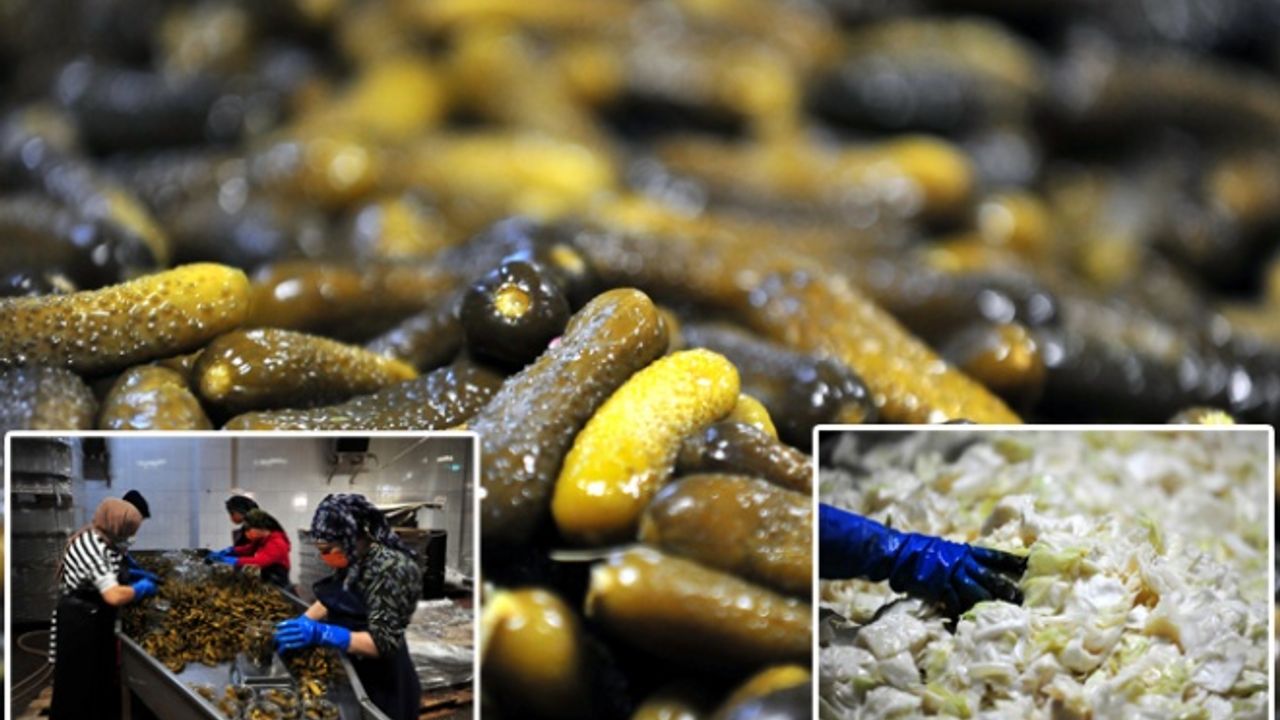 'Turşu göçü' ilçede nüfusu ikiye katlıyor