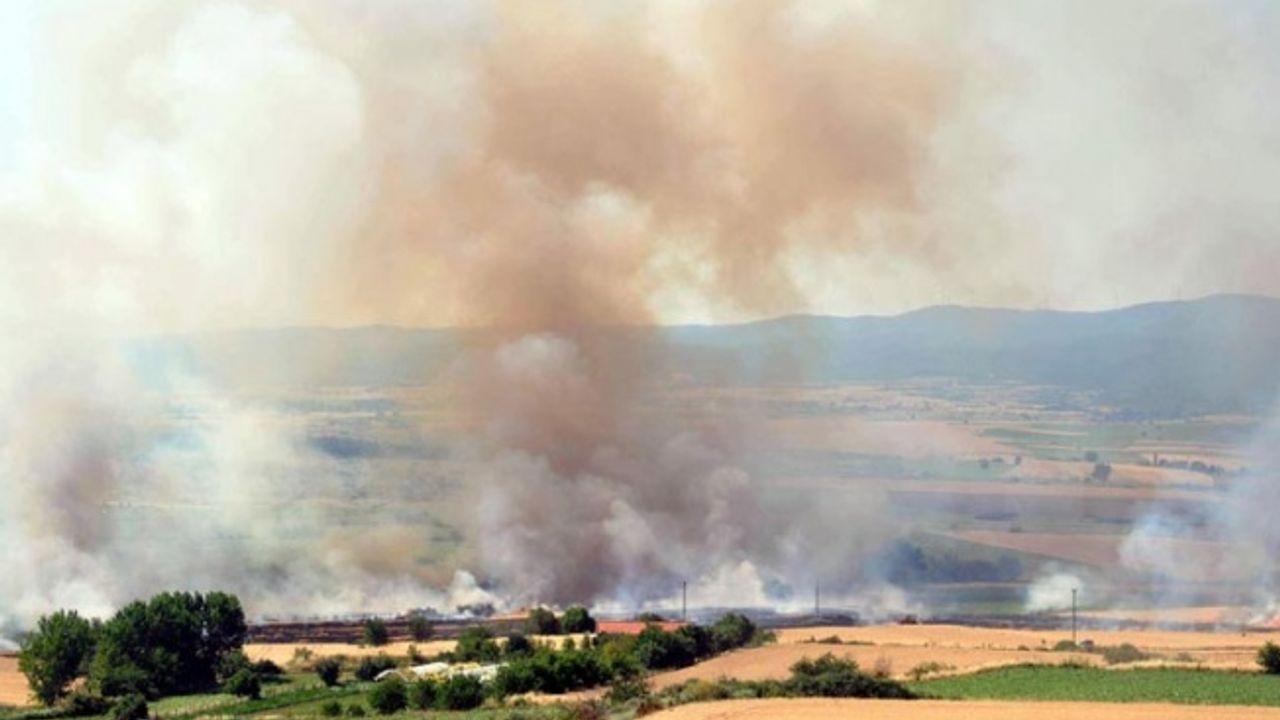 Tekirdağ'da buğday ve arpa ekili 100 dönüm tarla yandı