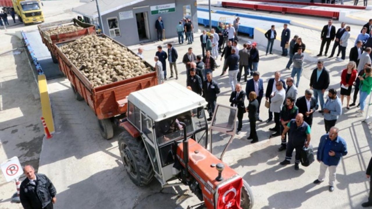 Eskişehir'de şeker pancarları fabrikaya teslim edilmeye başladı