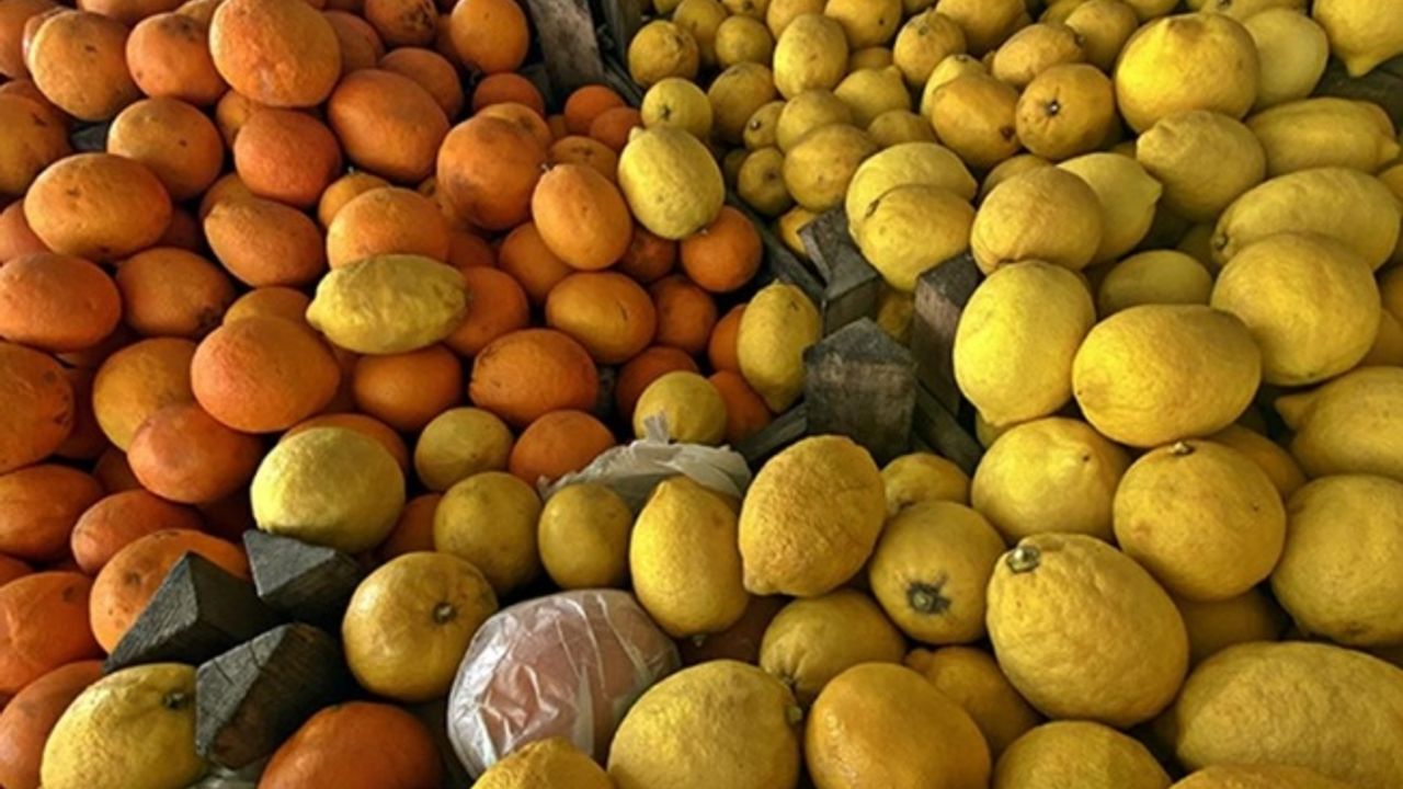 Narenciye ihracatında yılın ilk çeyreğini mandalina ve limon sırtladı