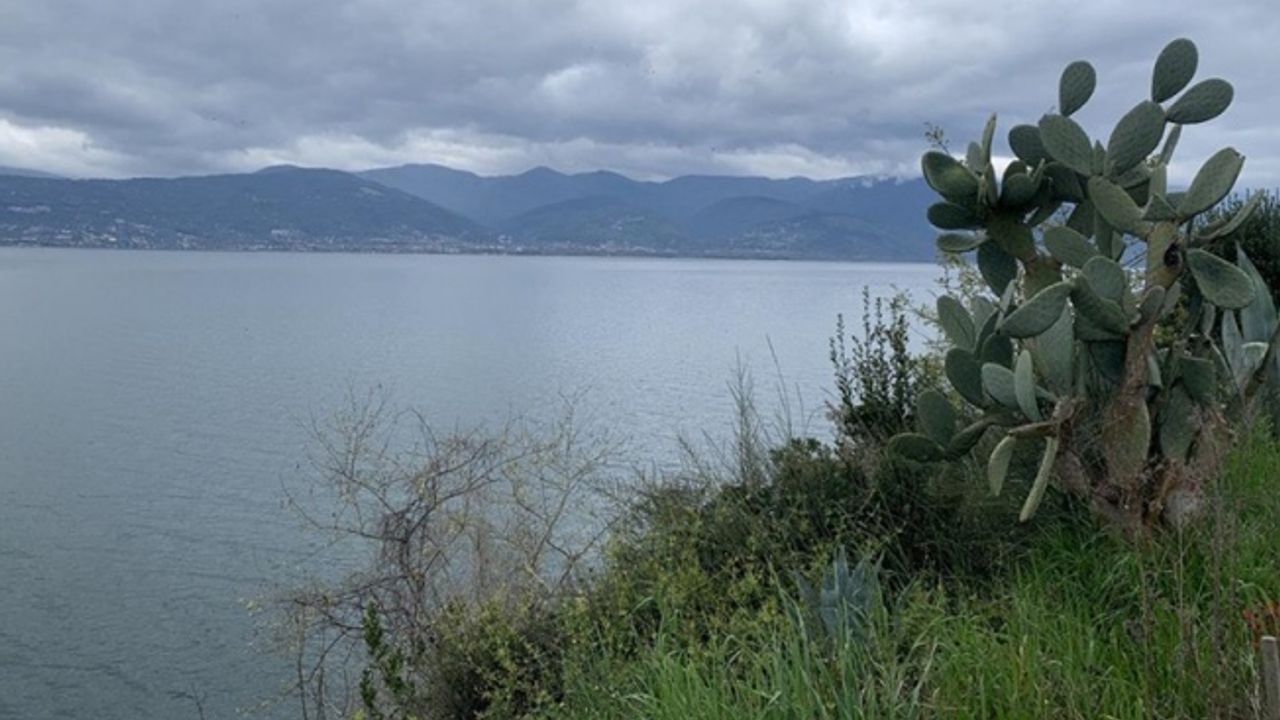 Sapanca Gölü'nde su seviyesi yağışlarla artmaya devam ediyor