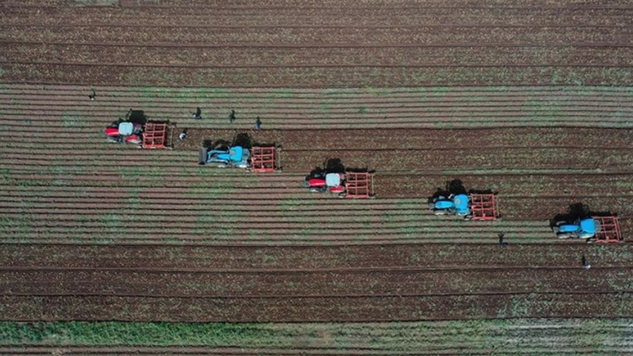 Tarım ve orman alanlarında düzenlemeleri içeren kanun Resmi Gazete'de