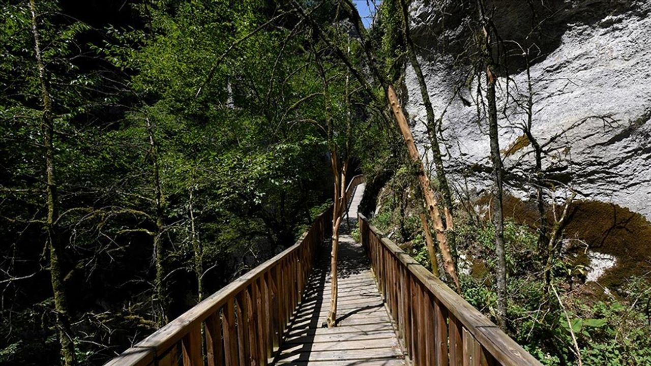 Horma Kanyonu'na ağaç kesilmeden yapılan yürüyüş yolu ziyaretçi sayısını üçe katladı