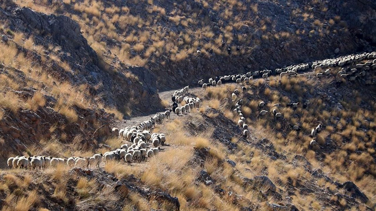 Bitlis'te göçerler havanın soğumasıyla dönüş yolculuğuna başladı