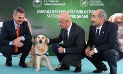 Bakan Kirişci: Arzumuz 2 milyon sokak hayvanını kısırlaştırmak