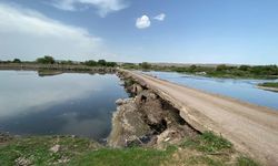 Dicle Nehri'nde balık ölümlerine inceleme