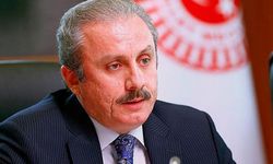 Şentop: Böyle bir kanun teklifini vermek, Türkiye dışından cesaretin desteği ile olabilir