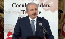 "Terörle mücadelede çok daha başarılı neticeler alıyoruz"