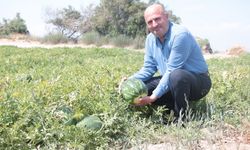 Adana’da ekim alanı azalan karpuzun hasadına sayılı günler kaldı