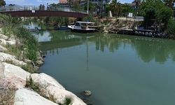 Akdeniz'de müsilaj raporu: Antalya sahilleri ve iç sular temiz