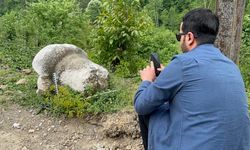 Bartın'da heyelan sonrası çalışmada tarihi eser ortaya çıktı