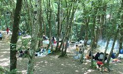 Belgrad Ormanı'na piknikçi akını