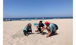 Caretta caretta yasağı; 3 sahile gece girmenin cezası 109 bin TL