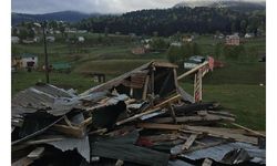 Karadeniz yaylalarında kaçak yapılar yıkılıyor