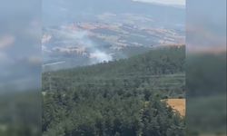 Kozan'da yeniden çıkan orman yangını kontrol altına alındı