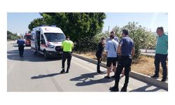 Minibüs refüje çıktı; 11'i turist 12 kişi yaralandı