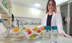 Tarımda yılda 26 milyon ton kaybın önüne geçilecek proje
