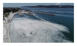 Ultrasonik ses frekansıyla müsilaj mücadelesi