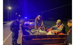 Van'da kaçak avlanan 1 ton inci kefali ele geçirildi