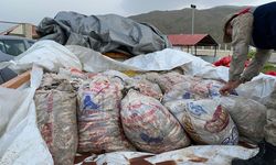Van'da kaçak avlanan 11 ton inci kefali ele geçirdi