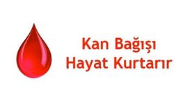 14 HAZİRAN DÜNYA  GÖNÜLLÜ KAN BAĞIŞÇILARI  GÜNÜ