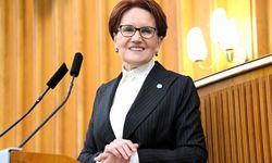 Akşener'den Pınar Gültekin kararı tepkisi