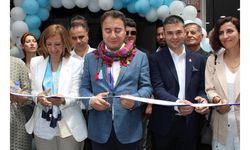 Ali Babacan: Seçim yakın 