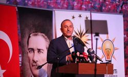 Bakan Çavuşoğlu: Müttefik olmak istiyorsan Türkiye'yi düşman gibi göremezsin