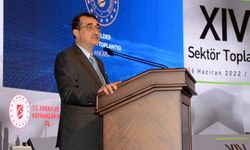 Bakan Dönmez: Elektrikli araçlar için 1 milyar dolarlık bütçe ayırıyoruz