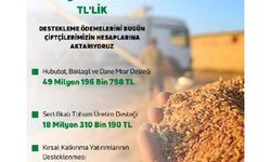 Bakan Kirişci: Destekleme ödemelerini hesaplara aktarıyoruz