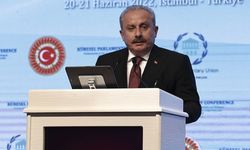 "Göç sorununun Türkiye'nin omuzlarına yıkılması haksızlıktır"