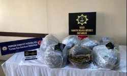 Hayvan kemiklerinin arasından 50 kilo esrar çıktı 