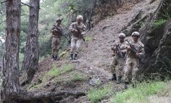Honaz Dağı'nın yangın güvenliği, jandarma komandolara emanet