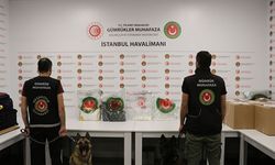  İstanbul Havalimanı'nda 36 kilogram kokainin yakalandığı operasyonlar kamerada