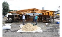 Kartal'da kurban satış pazarı kuruldu 