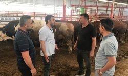Kurbanlık satış yerleri hareketlendi