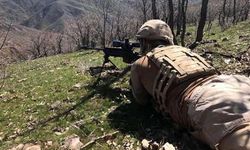 Lice'de Eren Abluka 15 narko terör operasyonu başlatıldı