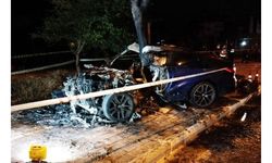 Ağaca çarpıp alev alan otomobilde yaşamını yitirdi