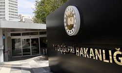 Avusturyalı bakanlar Türkiye'ye geliyor