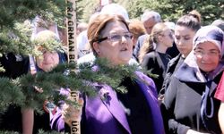 Bakan Yanık, 15 Temmuz şehitleri için ağaç dikti