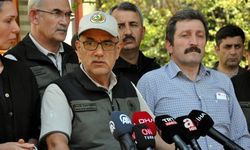 Datça'daki orman yangını kontrol altına alındı