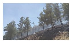 Hatay'da örtü yangınında 30 dönüm alan zarar gördü
