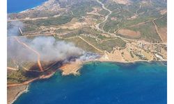 İzmir Seferihisar’da orman yangını