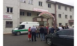 Kestikleri ağacın altında kalan baba-oğul öldü