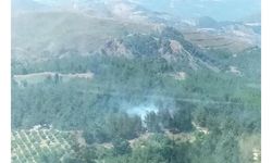 Manisa'da orman yangını