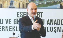 Soylu: Amerika terör örgütlerini pişiriyor