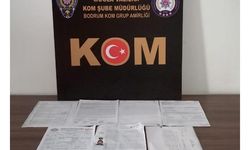 Tapuda sahtecilik yapanlara polisten suçüstü baskın