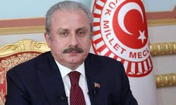 TBMM Başkanı Şentop'tan Kıbrıs Barış Harekatı'nın yıl dönümü mesajı