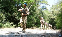 Aydın'da yasağa rağmen ormana giren 68 kişiye 39 bin TL ceza