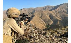 Bitlis'te 'Eren Abluka-32 Operasyonu' başlatıldı